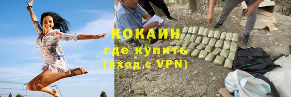 сатива Пестово
