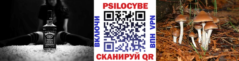 Галлюциногенные грибы GOLDEN TEACHER  ОМГ ОМГ ссылка  Сергач 